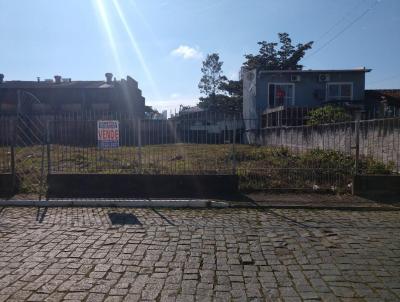 Terreno para Venda, em Itajaí, bairro São Vicente